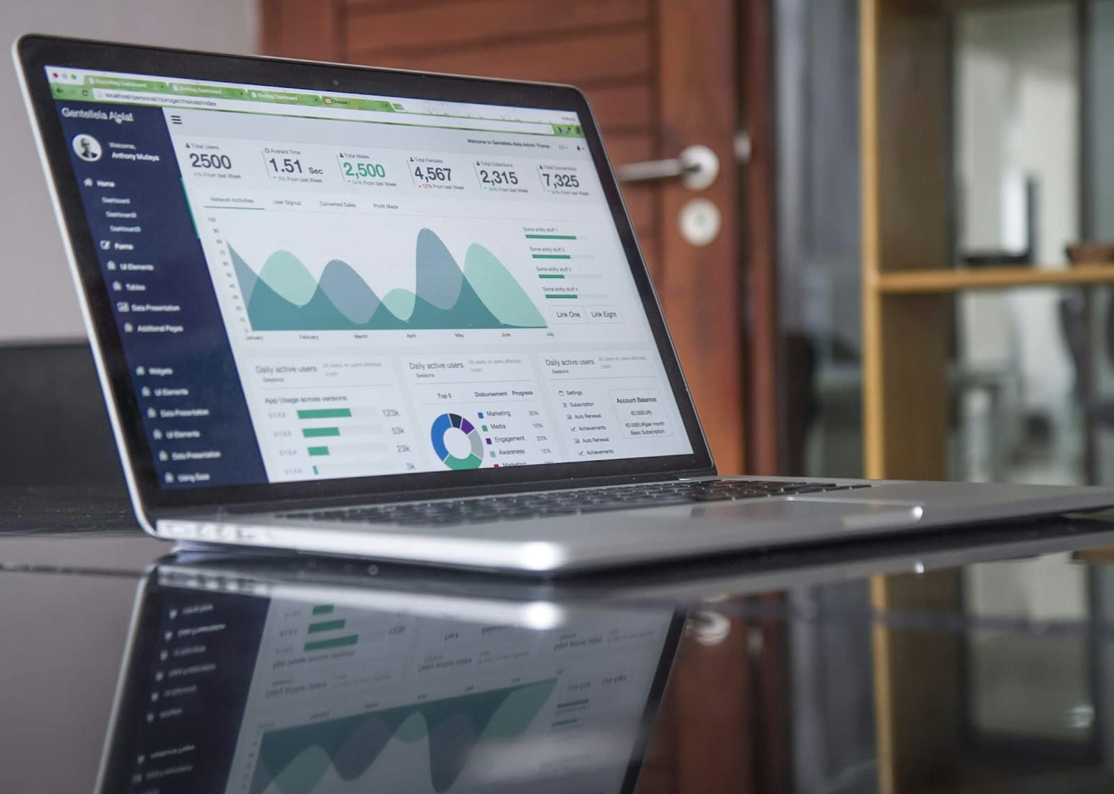 Can Custom Software Be a Capital Asset on Your Balance Sheet?